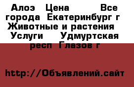 Алоэ › Цена ­ 150 - Все города, Екатеринбург г. Животные и растения » Услуги   . Удмуртская респ.,Глазов г.